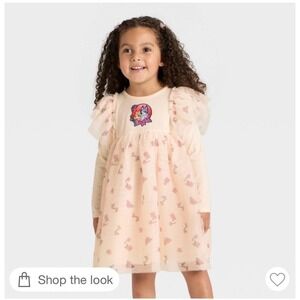 Bluey Toddler Girls Long Sleeve Dress Pink Floral Tulle Ruffle Size 4T